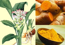 Turmeric Food Use